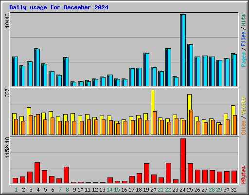 Daily usage for December 2024