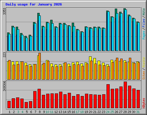 Daily usage for January 2026