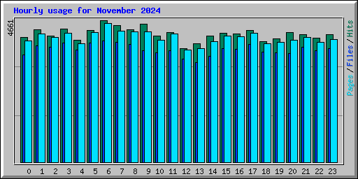 Hourly usage for November 2024