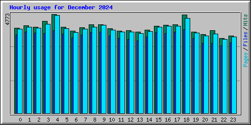 Hourly usage for December 2024