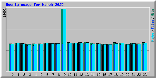 Hourly usage for March 2025