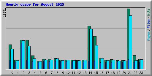 Hourly usage for August 2025