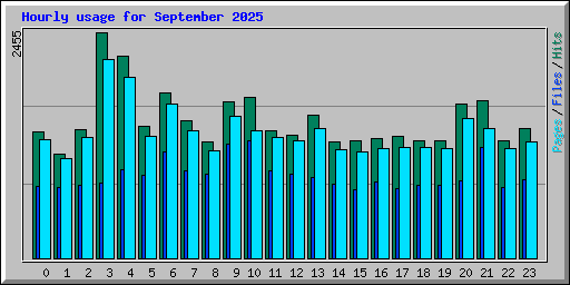 Hourly usage for September 2025