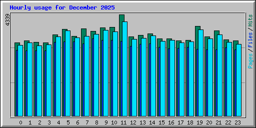 Hourly usage for December 2025
