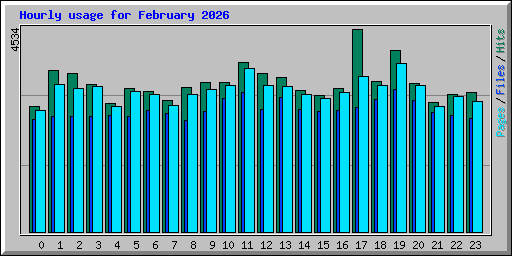 Hourly usage for February 2026